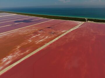 En Las Coloradas el agua se pone rosa
