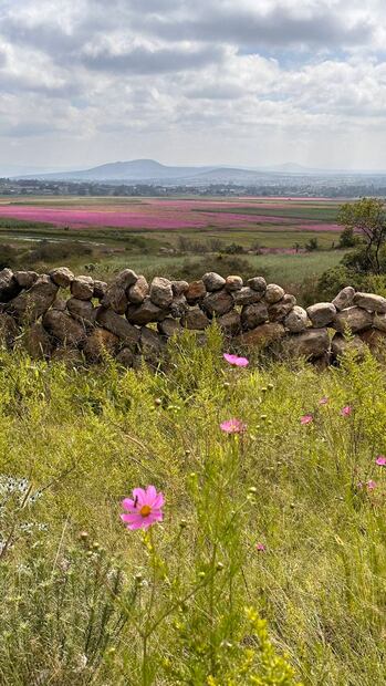 Foto: La Comuna Glamping