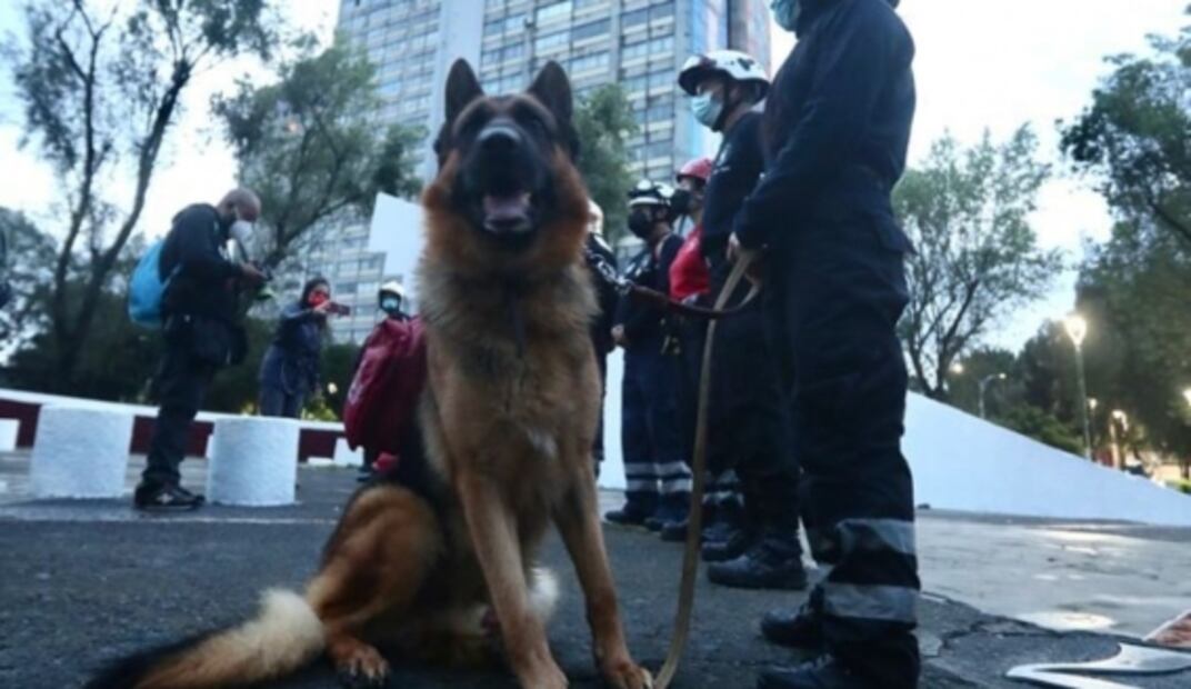 "Fue un éxito", destaca Sheinbaum de Simulacro en CDMX; no sonaron 101 altavoces de la Alerta Sísmica 