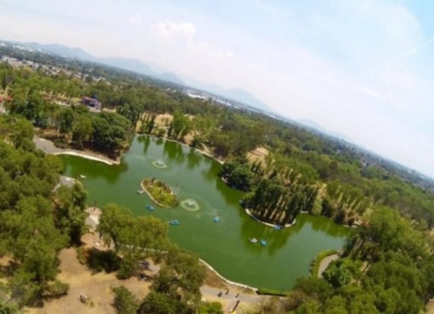 ¿De picnic, para llevar al perro o andar en bici? 6 de los mejores parques de CDMX