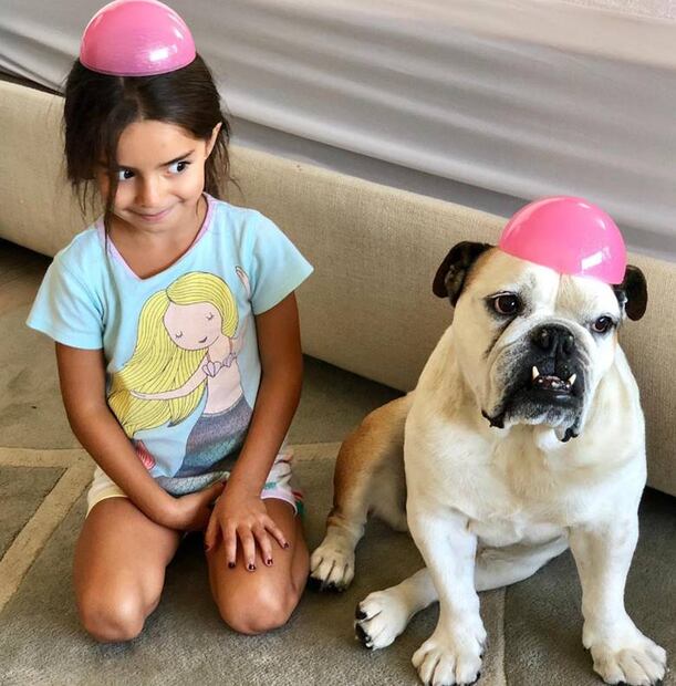 Familia Derbez llora la muerte de Fiona, la perrita de la familia que convivió mucho con Aitana, la hija menor del actor. Foto: Instagram.
