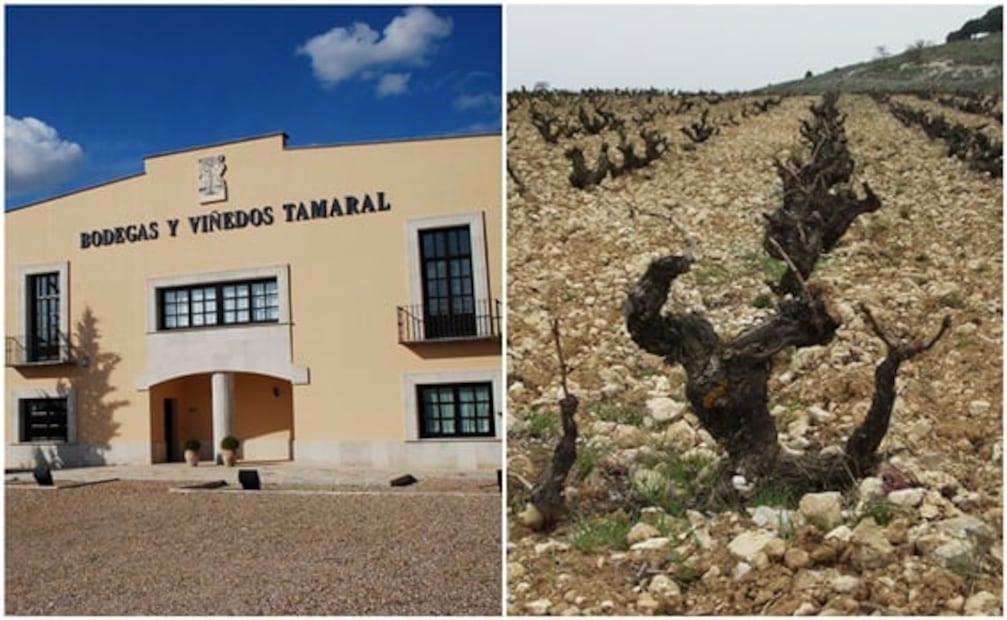 Expresión y versatilidad: los vinos de Ribera del Duero