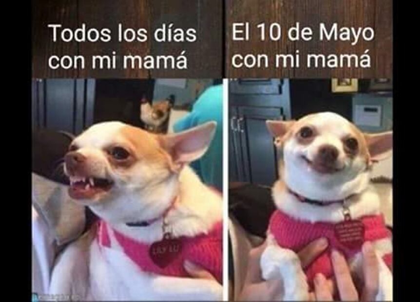 Meme respecto al Día de las Madres. Foto: Twitter