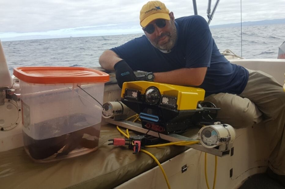 Encuentran un misterioso bosque de macroalgas en Galápagos