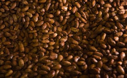 My Field to Bar, el nuevo proyecto de Luis Robledo con cacao ecuatoriano