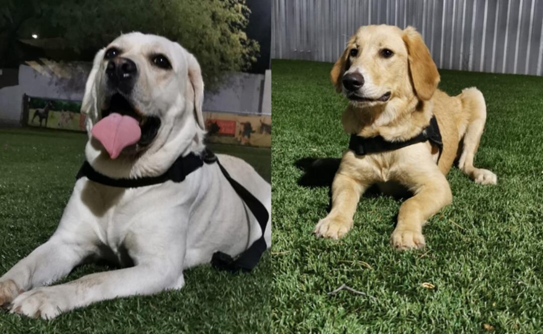 The works will help prevent the spread of COVID-19 - Photo: Taken from Sonora's Health Ministry's Facebook account