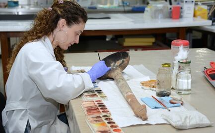 Recuperan el color y la forma de 13 sahumadores mexicas hallados en Garibaldi