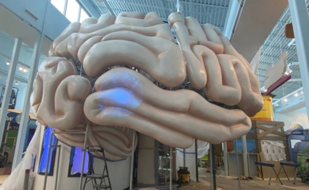 Buscan tratar tumores cerebrales con microrrobots