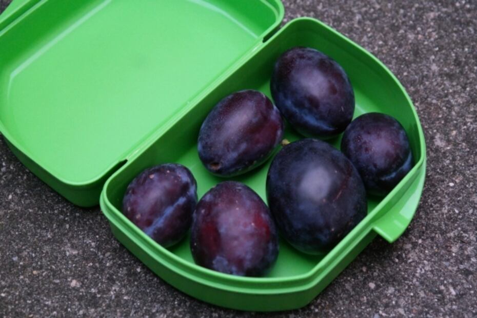 Uso de contendores, una forma ecológica de evitar bolsas de plástico y desechables