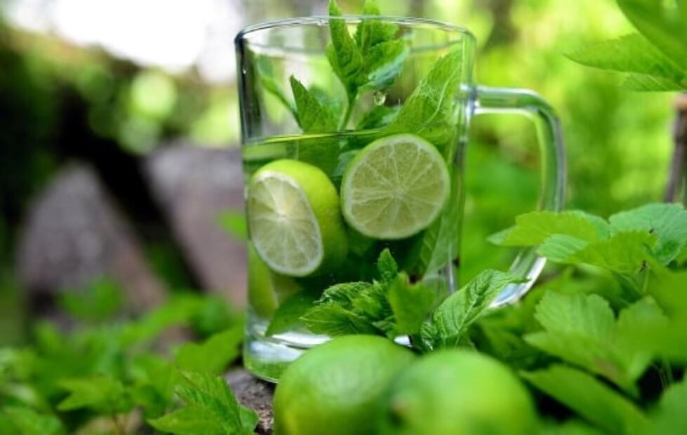 ¿Qué pasa si tomas jugo de apio con limón todos los días?