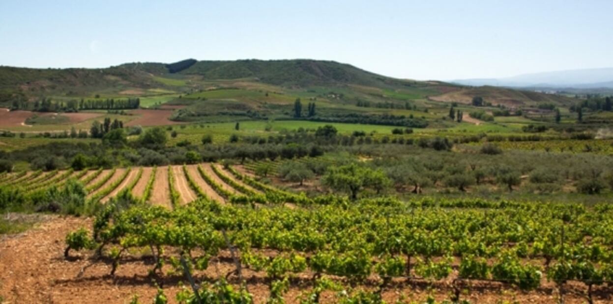 El lado oculto de la Rioja