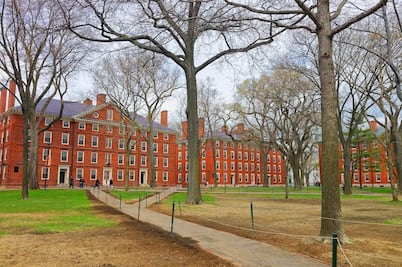 Trump da nuevo golpe a Harvard; le prohíbe inscribir a estudiantes extranjeros