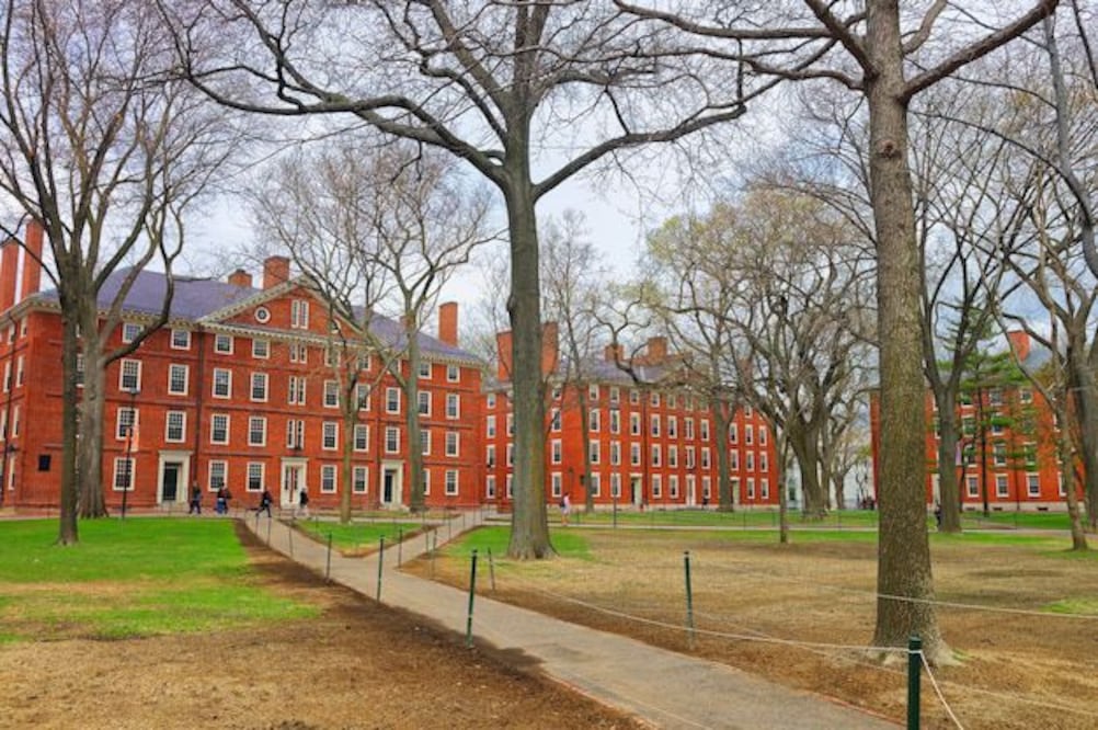 Harvard ofrece una puerta abierta hacia una experiencia académica única. Fuente: Freepik.