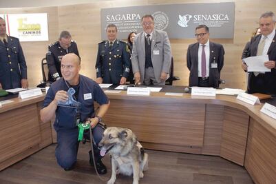 Jubilan a 6 perros inspectores 