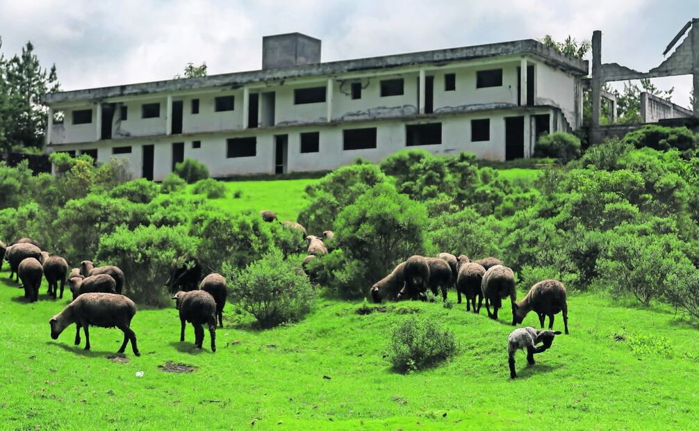 El rancho Los Alpes y Quinta Las Palomas, escondites de Jesús Reynaldo Zambada, El Rey, en Acaxochitlán, Hidalgo está abandonado; los pobladores pastorean en la zona. Foto: Hugo Salvador | El Universal