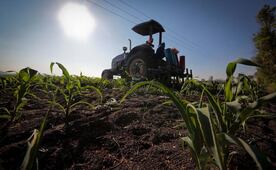 Agroecología, el reto de olvidar agroquímicos en cultivos de granos, frutos y hortalizas; productos incursionan en mercado internacional 