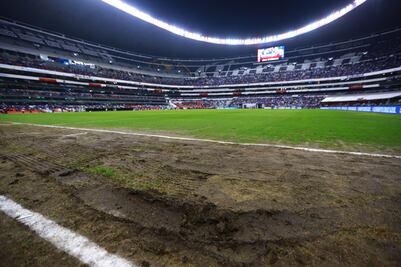 Las diferencias entre el césped híbrido y natural 