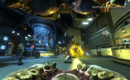 ¿Qué es Steam? La plataforma donde puede jugarse Natural Selection