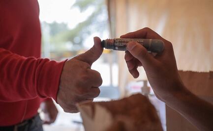 ¿Qué estados participaron más y cuáles menos en la consulta de revocación de mandato de AMLO?