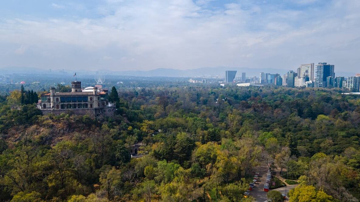 Foto: Bosque de Chapultepec