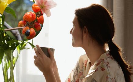 El té con hierba amazónica que reduce la grasa, elimina la retención de líquidos y mejora la agilidad mental