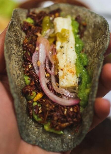 ¿Comerías tacos de larvas de avispa?