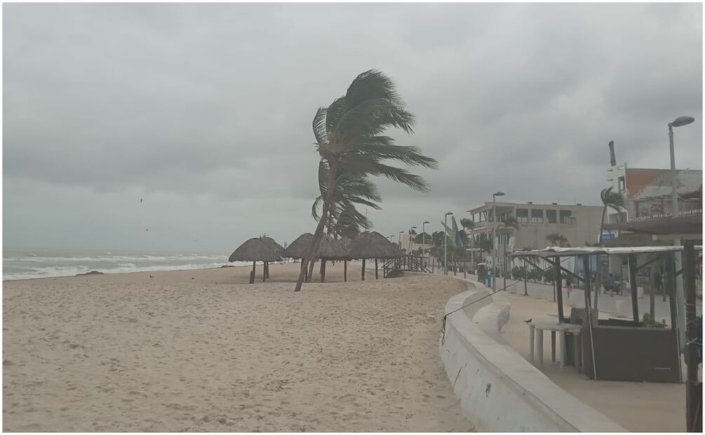 El evento meteorológico también ha impactado al turismo (11/12/2024). Foto: Especial