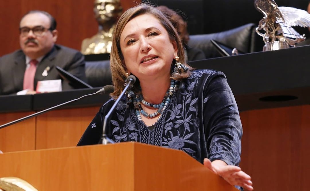 Senadora del PAN, Xóchitl Galvez. Foto: Archivo. Cuartoscuro