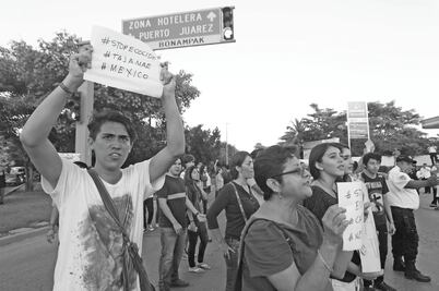Alertan por la tala del manglar rojo en el país