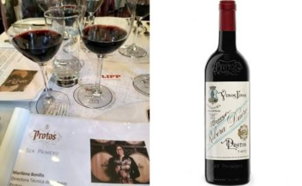 Protos: la ruta hacia los grandes vinos