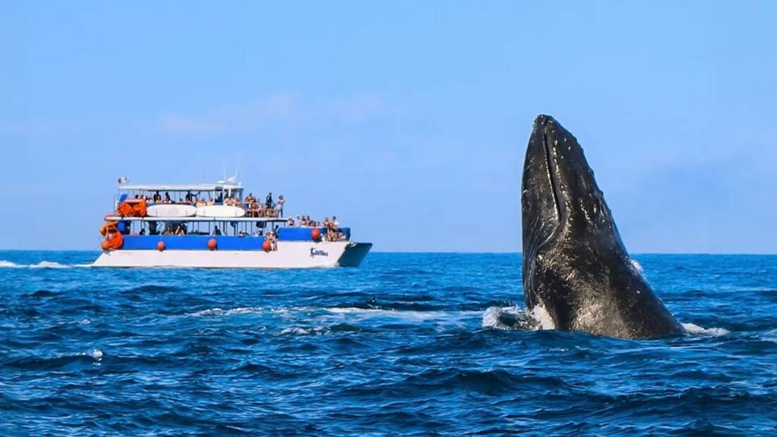 Foto: Vallarta Adventures
