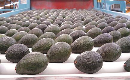 Conflicto aguacatero en Michoacán acecha al Súper Bowl