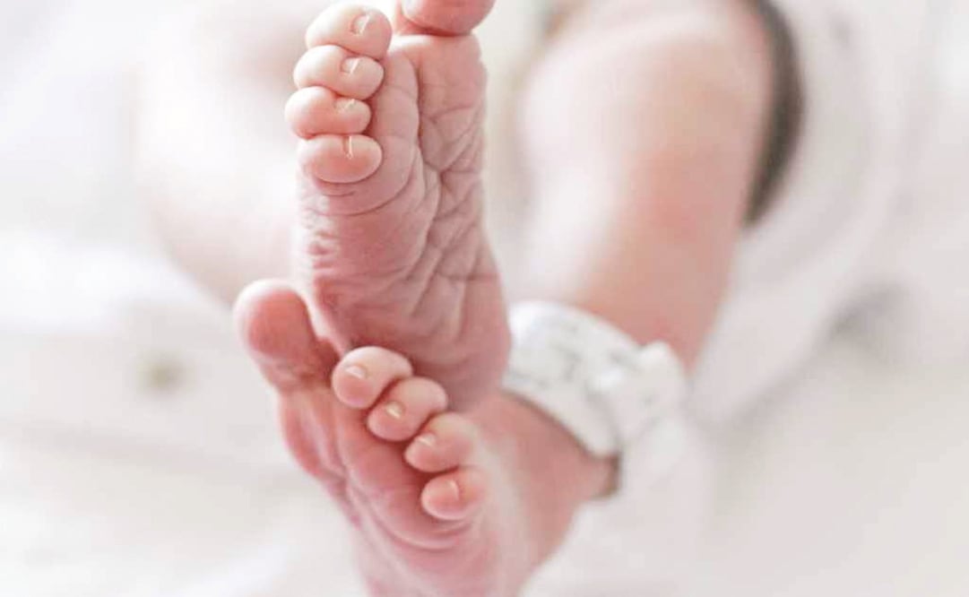 FOTO: Archivo. EL UNIVERSAL