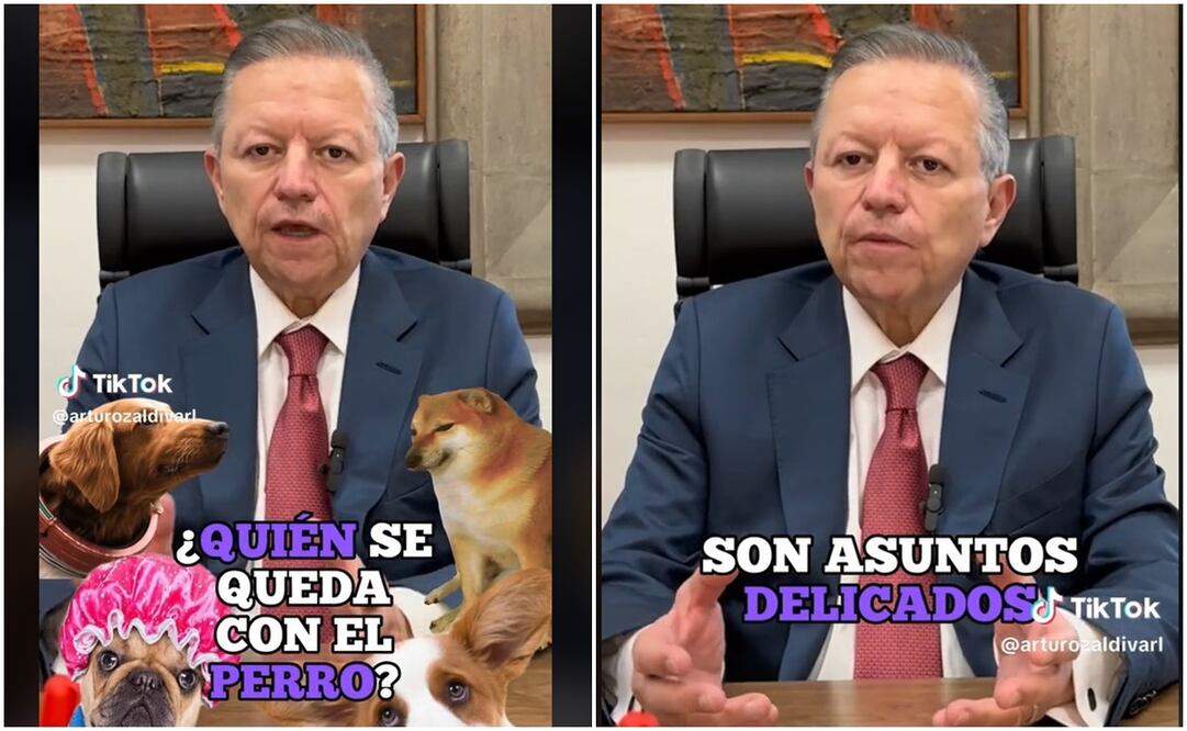 Ministro de la Suprema Corte de Justicia de la Nación (SCJN), Arturo Zaldívar. Foto: Capturas de TikTok @arturozaldivarl