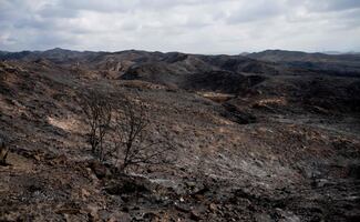 España estabiliza incendio en Almería; gobierno autoriza retorno gradual a los habitantes