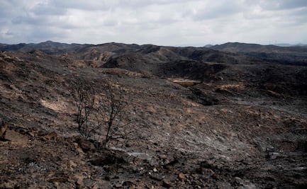 España estabiliza incendio en Almería; gobierno autoriza retorno gradual a los habitantes