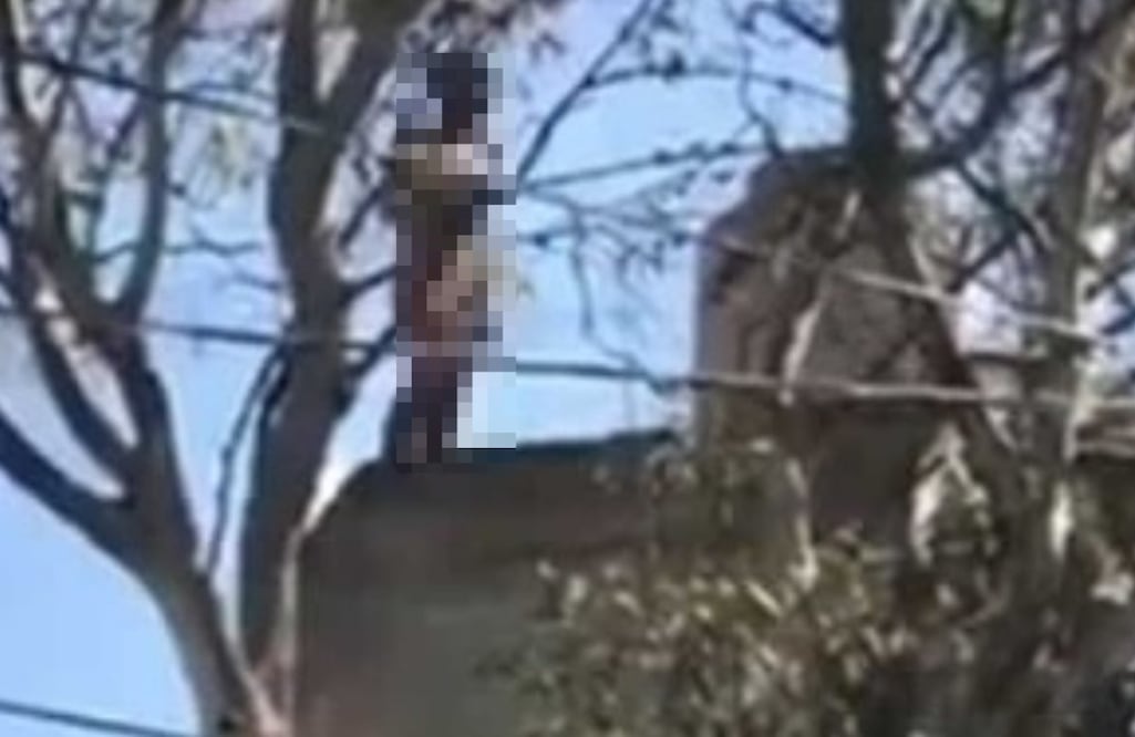 Foto: Captura de video