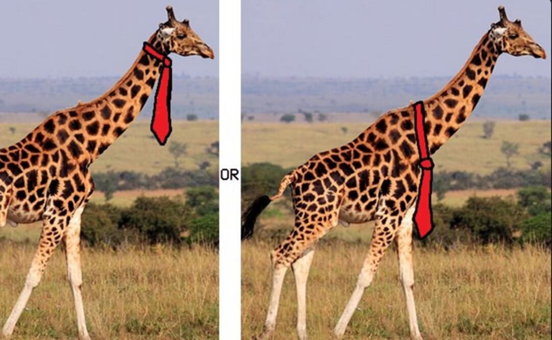 (FOTO: Tomada de Twitter)