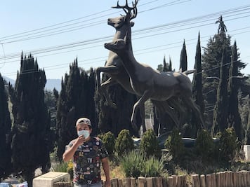 Investiga muerte de "Pepe", el toro de Atizapán