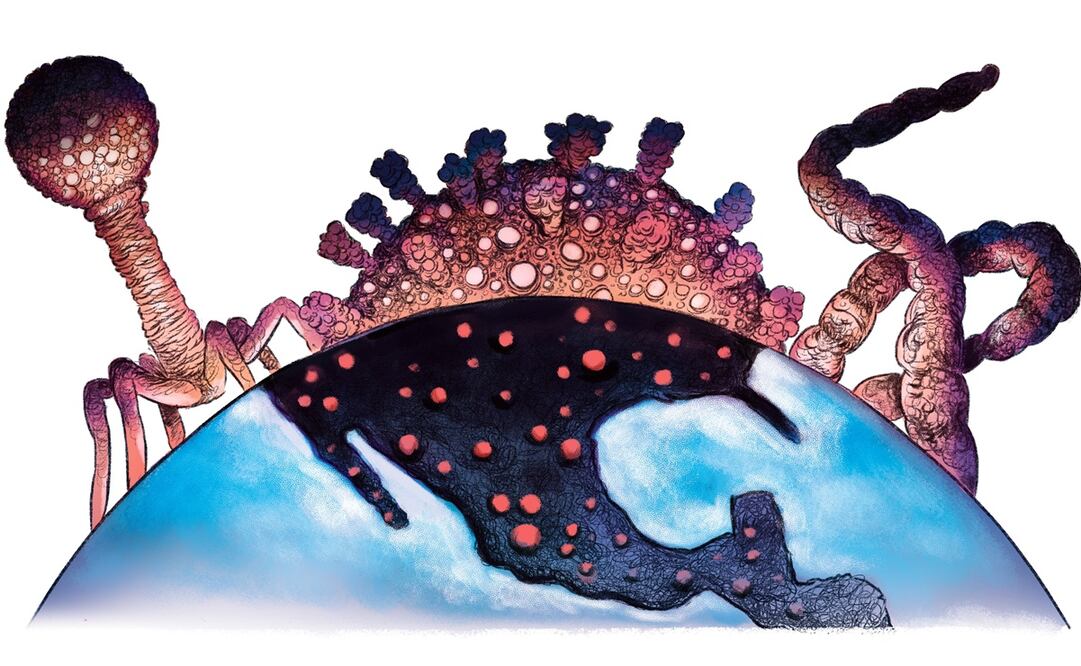 Ilustración: Dante de la Vega