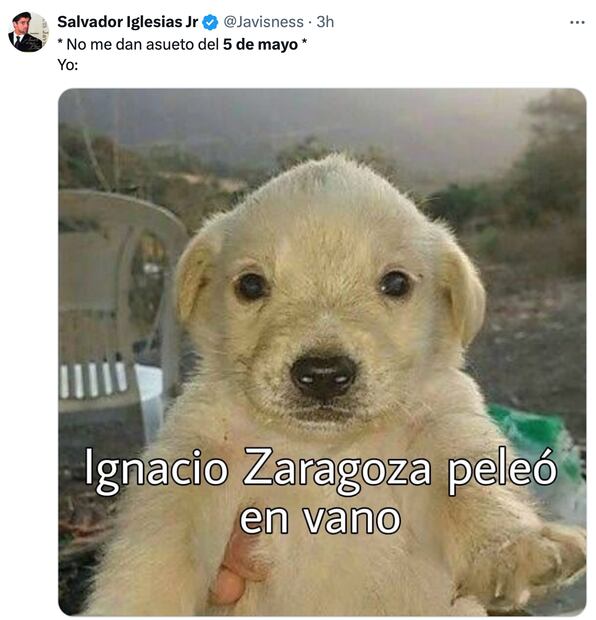 Los mejores memes que dejó la conmemoración de la Batalla de Puebla. Foto: Captura de pantalla
