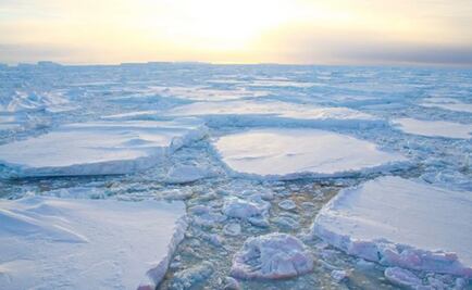 Climate change: emergency alert