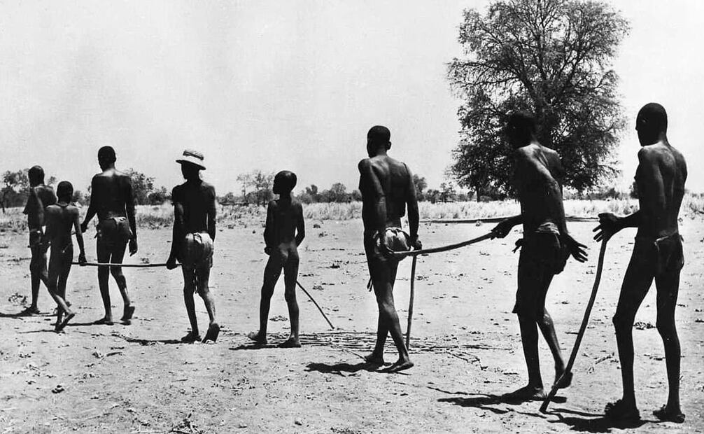En África, algunas comunidades azotadas por la oncocercosis transportan a los pacientes con ceguera en reducidos grupos, guiados con palos para que no se pierdan. La OMS estimó que el tiempo de vida promedio del Onchocerca volvulus en su etapa adulta y sin tratamiento alcanza los 11 años. Foto: Wikimedia Commons.
