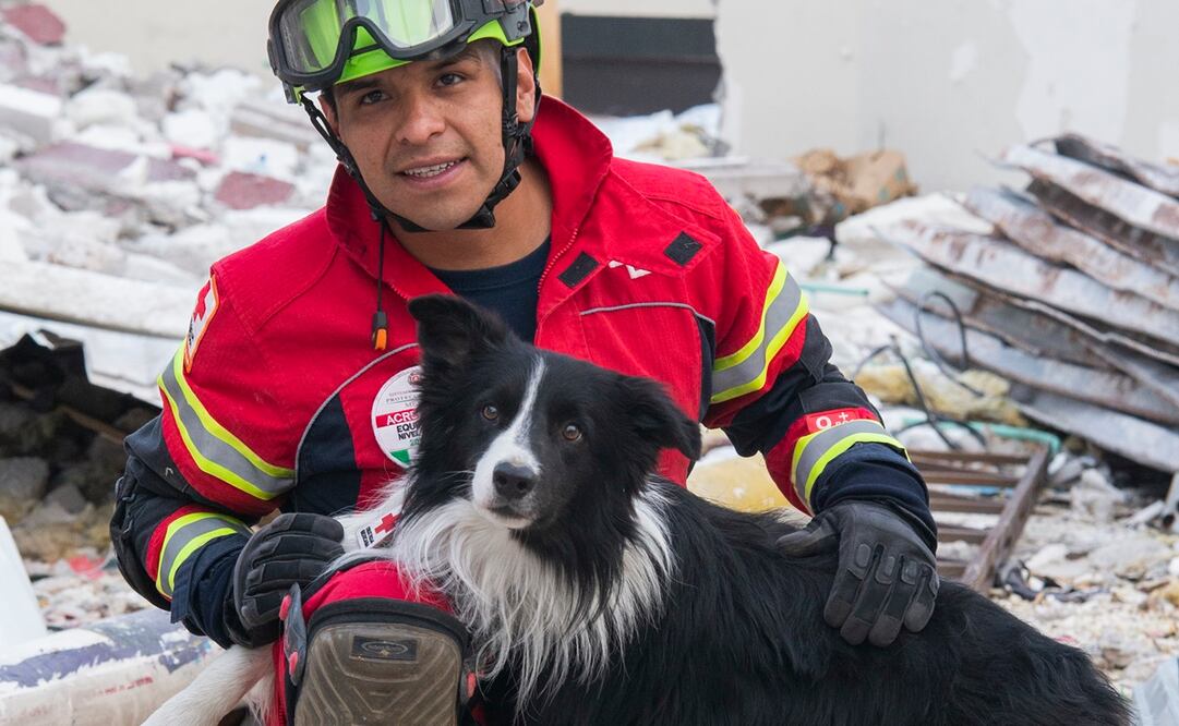 Edgar Martínez Olguín tiene 19 años siendo paramédico, recuerda que fue siguiendo los pasos de un tío que decidió ingresar a este mundo de las emergencias médicas, pero apenas hace seis años decidió enfocarse al rescate de personas acompañado de quien en ese entonces era su más fiel compañero: Athos, de quien hoy siguen sus pasos Balam y Orly. Foto: Especial