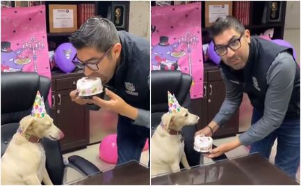 Alcalde de Ensenada protagoniza bochornoso momento con su mascota: “¿por qué no me dijeron?”