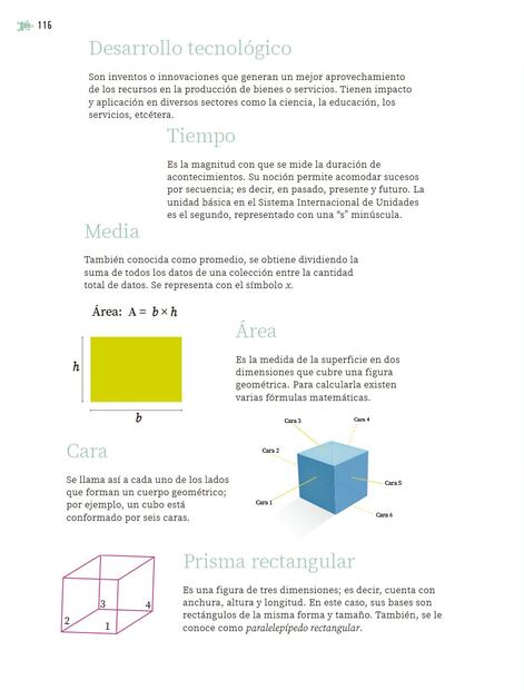 En la página 116 de Nuestros saberes, 5o. de primaria, hay conceptos como prisma rectangular, cara, área o media que no tienen relación. Foto: “ Nuestros saberes”, 5o. de primaria
