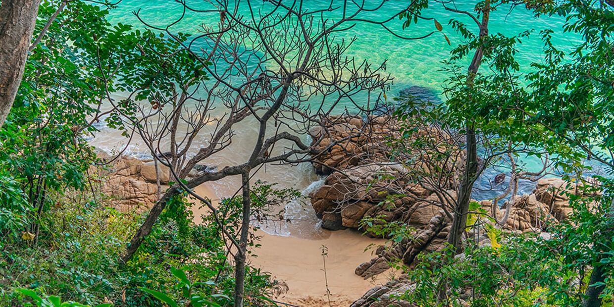 Imagen: visitapuertovallarta.com.mx