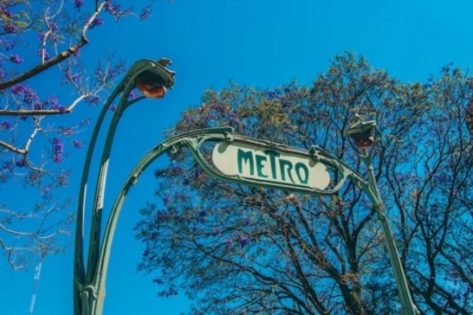 Temporada de jacarandas, ¿cómo llegó el árbol a las calles de la CDMX?