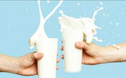 Mitos y realidades de la leche