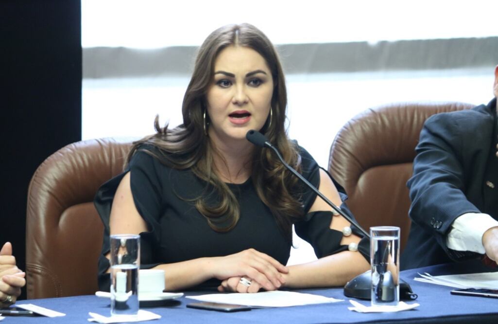 La coordinadora del PT en el Senado, Geovanna Bañuelos. Foto: Especial